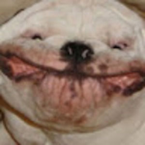 Meet your Posher, Ethan